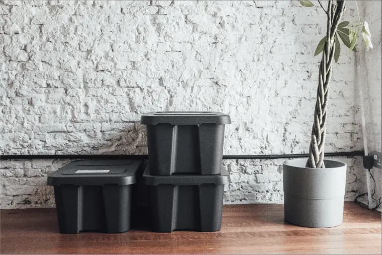 OnSet° | electriclimeº aims for sustainable set.